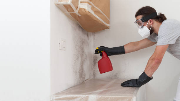 Professional Basement Mold Remediation technician working in Cary, NC