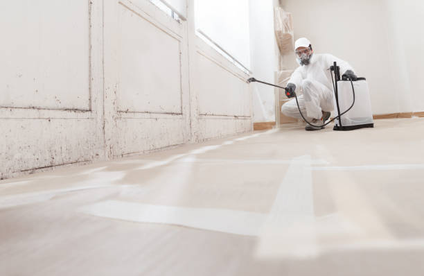 24/7 Emergency Basement Mold Remediation experts in Cary, NC