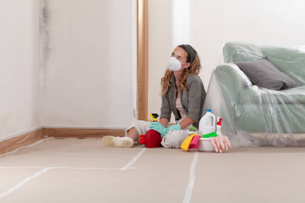 Reliable Basement Mold Remediation contractor in Cary, NC by 24 Hour Mold Removal